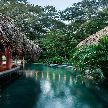The Space Jungle Oasis 南圣胡安 外观 照片
