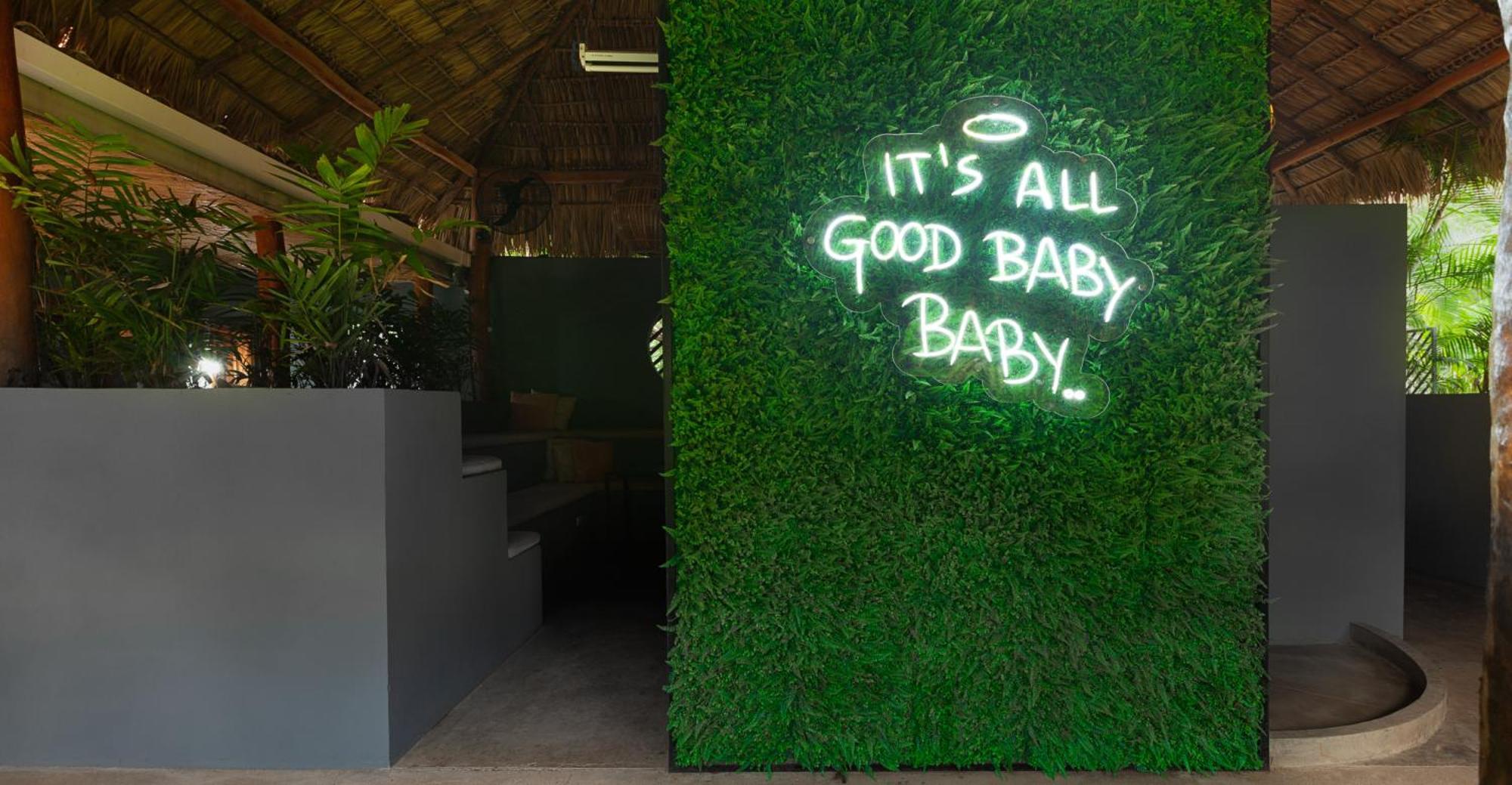 The Space Jungle Oasis 南圣胡安 外观 照片