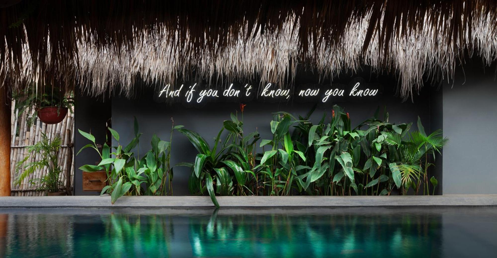 The Space Jungle Oasis 南圣胡安 外观 照片
