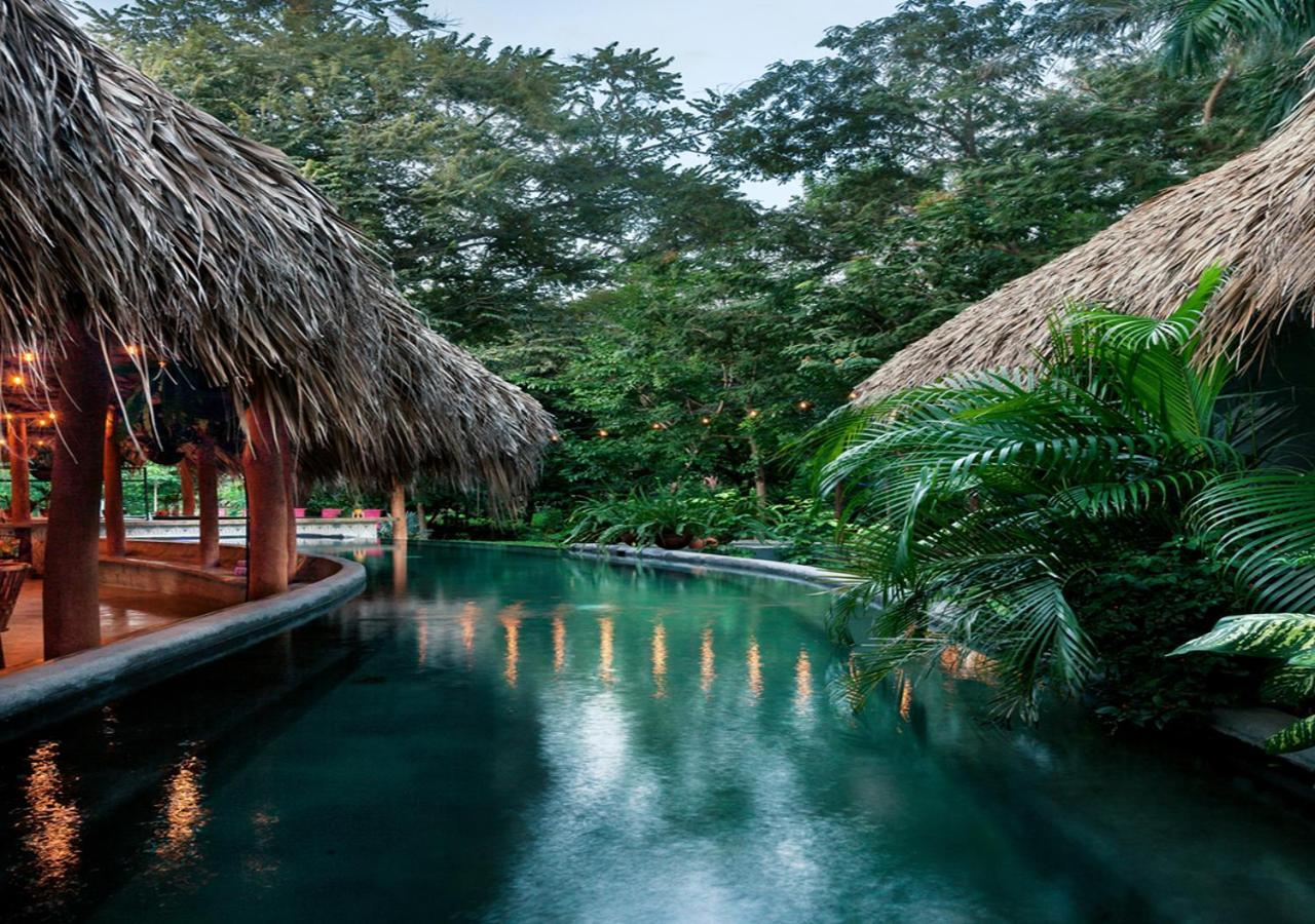 The Space Jungle Oasis 南圣胡安 外观 照片